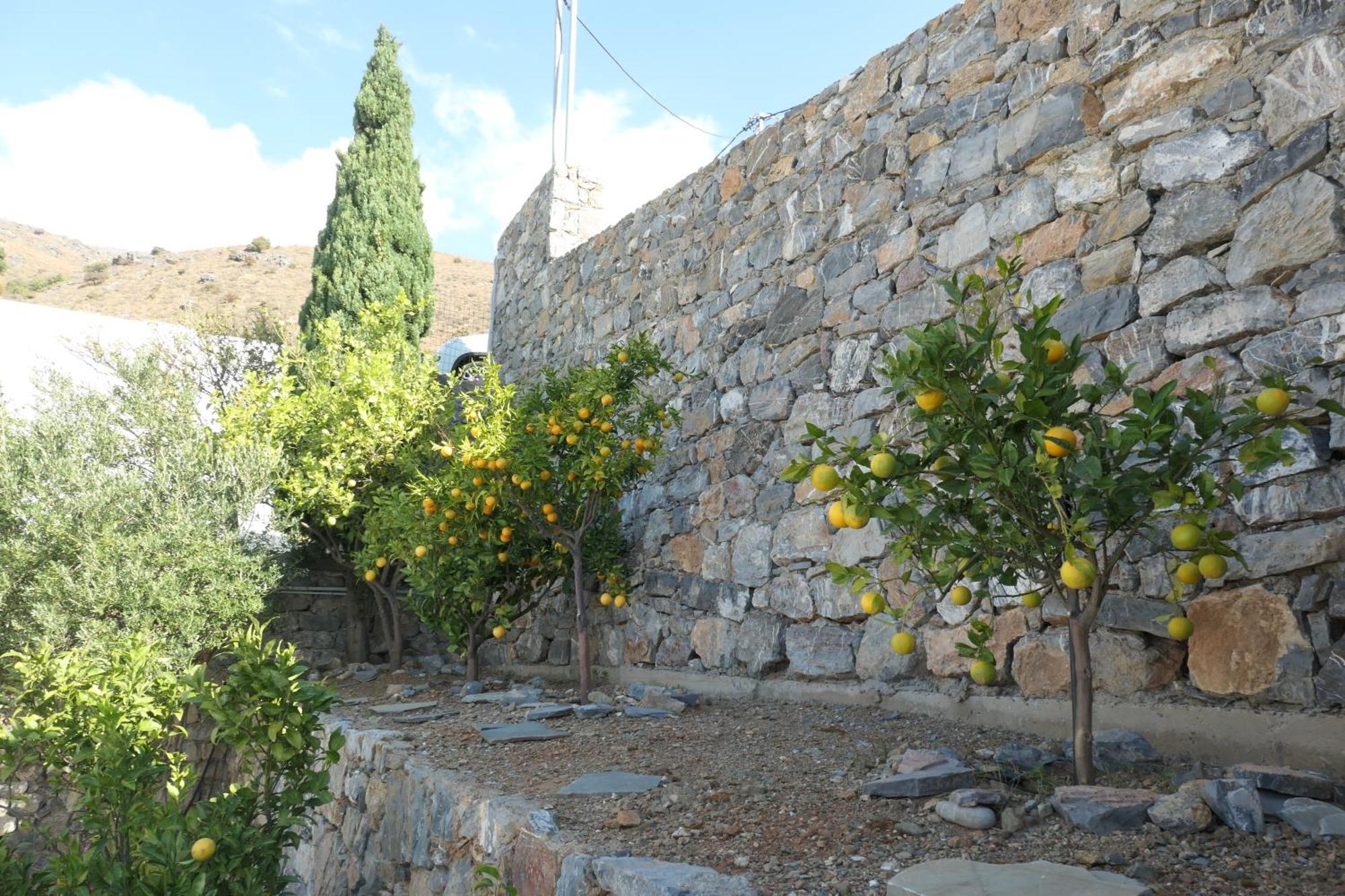 Thalassa Plakias