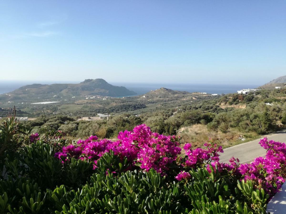 Thalassa Vila *